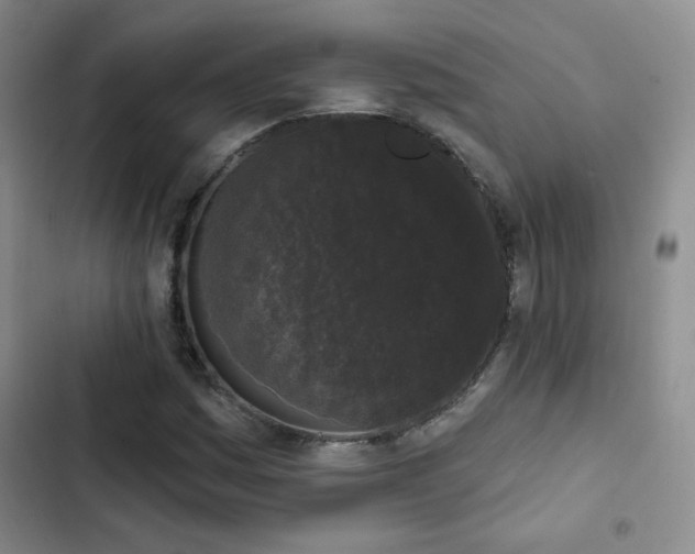 X0000103151161200808221324