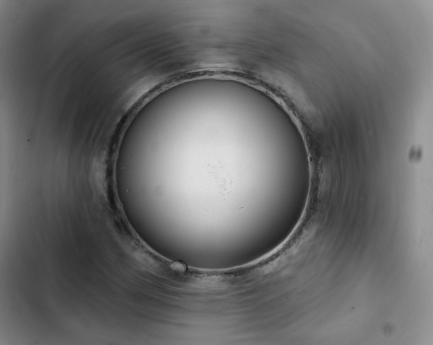 X0000103151162200808221324