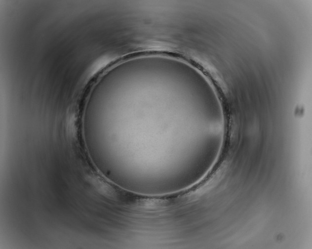 X0000103151163200808221324