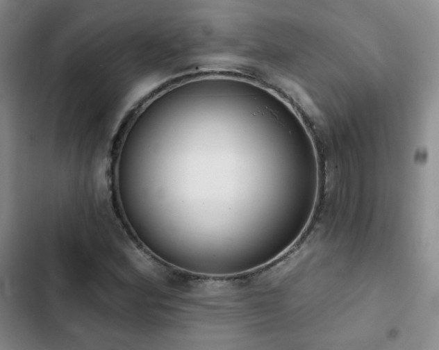 X0000103151164200808221324