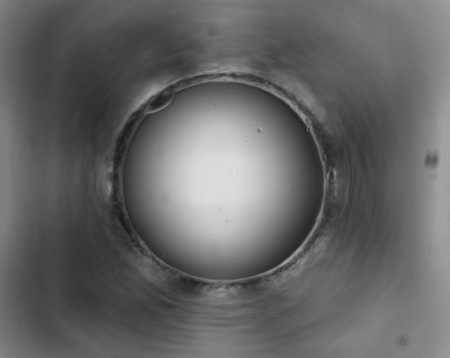 X0000103151165200808221324