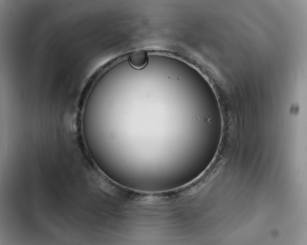 X0000103151166200808221324