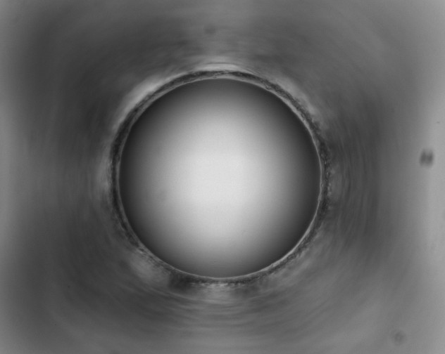 X0000103151167200808221324
