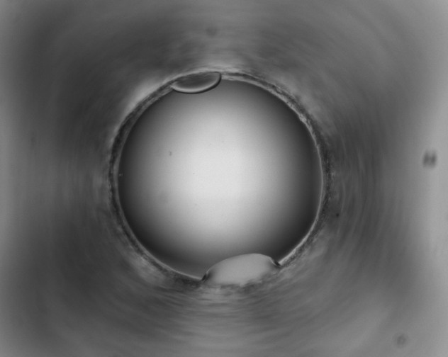 X0000103151168200808221324