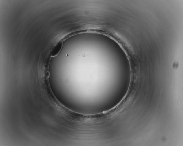 X0000103151169200808221324