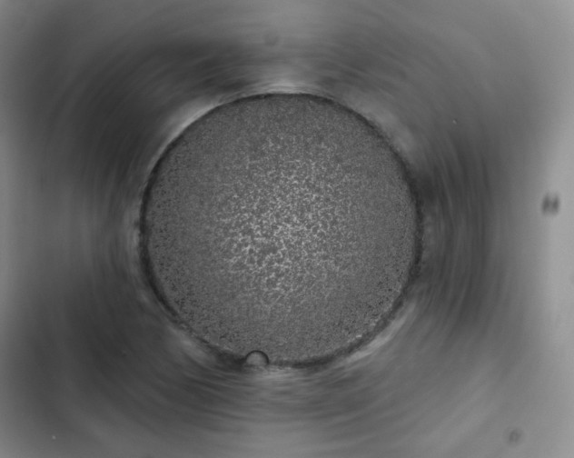X0000103151170200808221323