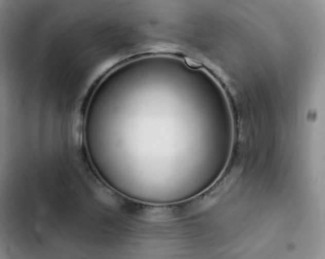 X0000103151171200808221323