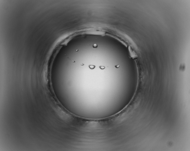 X0000103151172200808221323