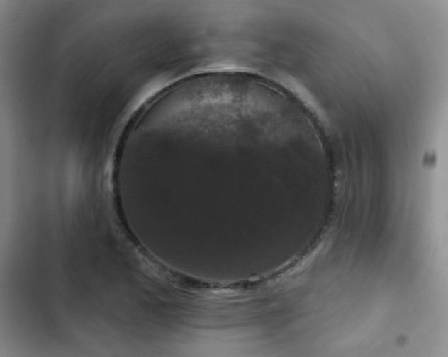 X0000103151173200808221323