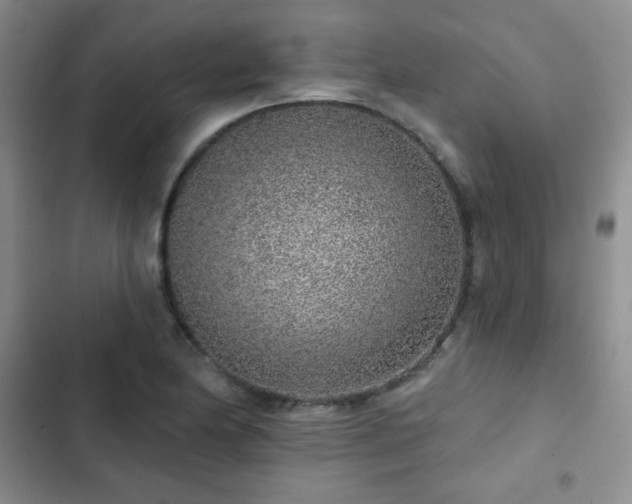 X0000103151174200808221323