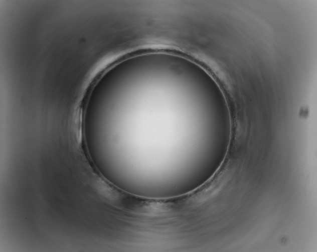 X0000103151175200808221323