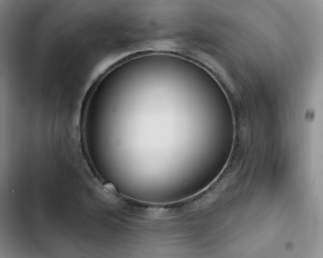 X0000103151176200808221323