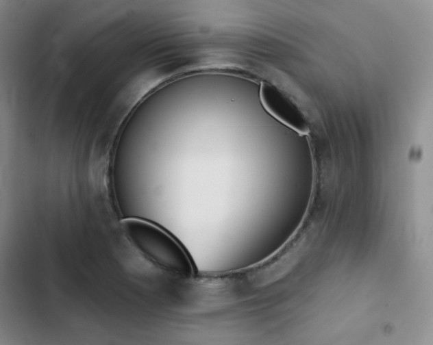 X0000103151177200808221323