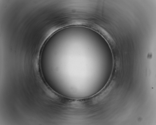 X0000103151178200808221323