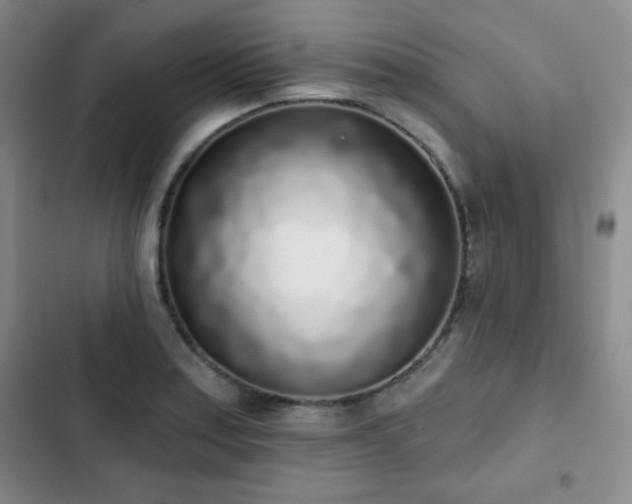 X0000103151179200808221323