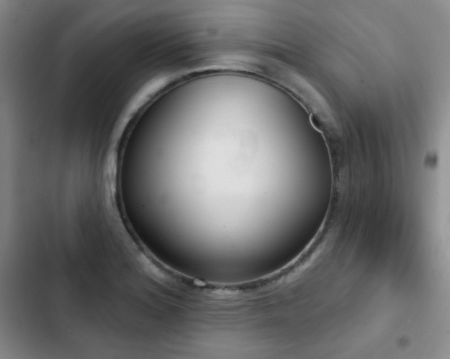 X0000103151180200808221323
