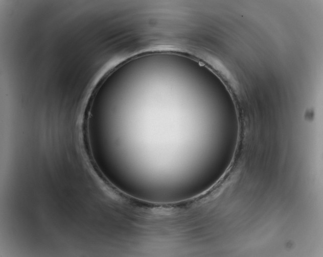 X0000103151181200808221323