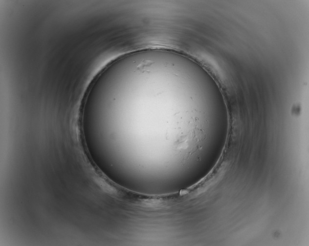 X0000103151182200808221323