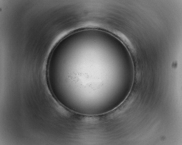 X0000103151183200808221323