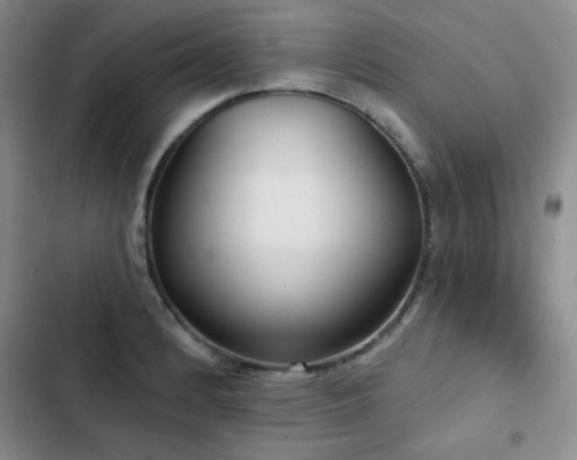 X0000103151184200808221323