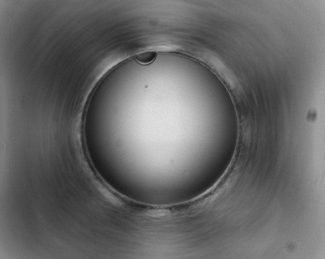 X0000103151186200808221323