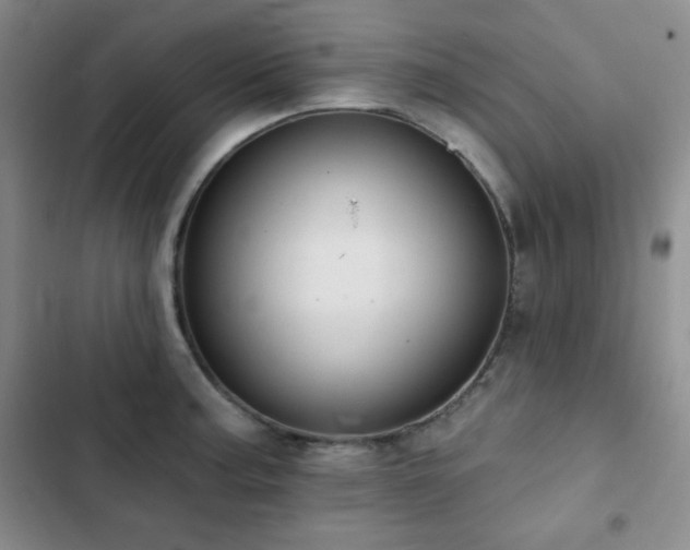 X0000103151187200808221323