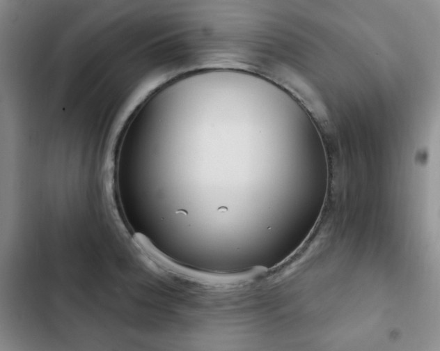 X0000103151188200808221323