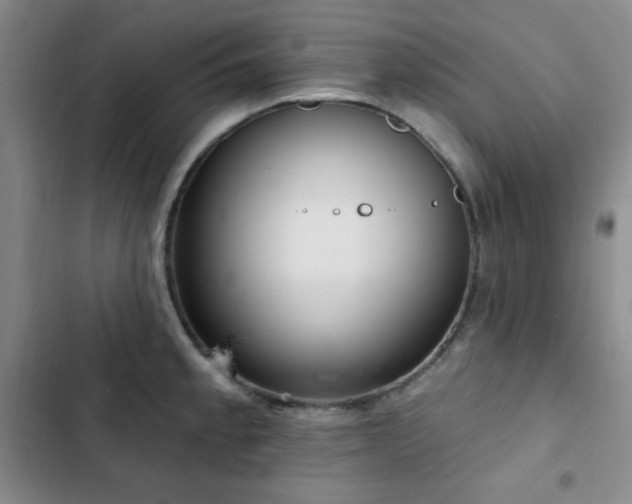 X0000103151189200808221323