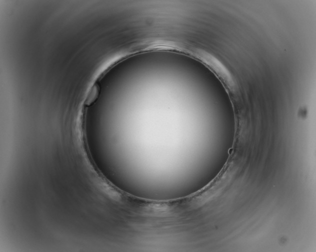 X0000103151190200808221323