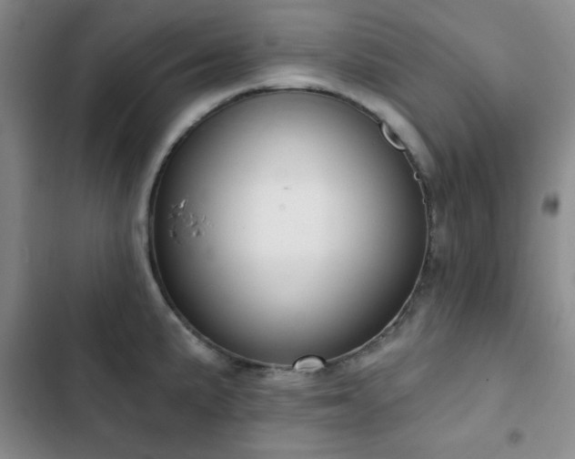 X0000103151191200808221323