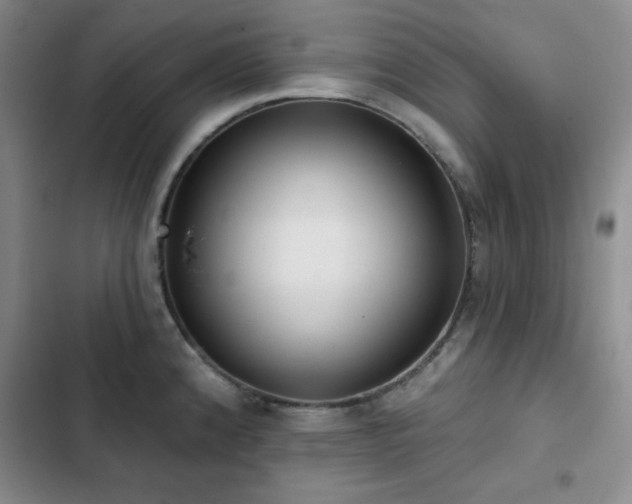X0000103151192200808221323