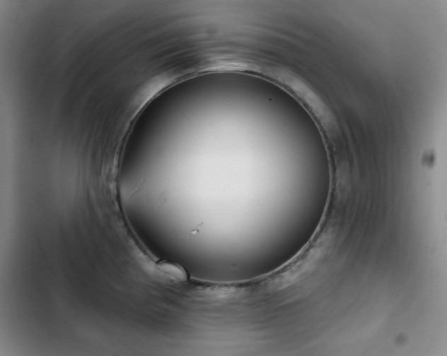 X0000103151193200808221323
