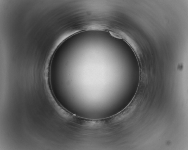 X0000103151195200808221323