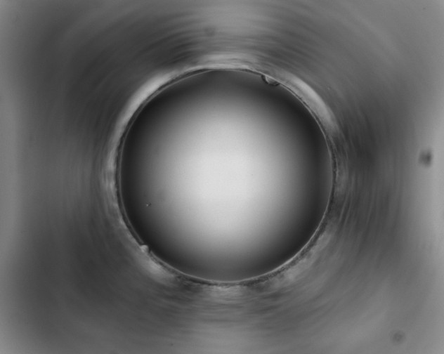X0000103151196200808221323