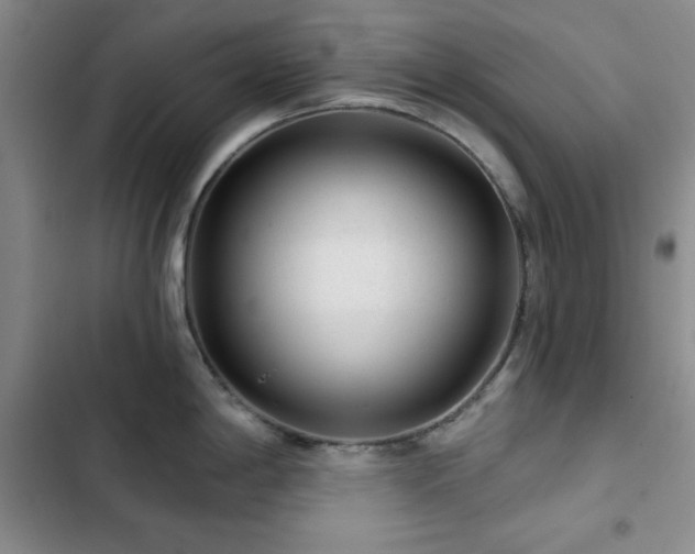 X0000103151198200808221323