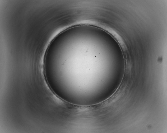 X0000103151199200808221323