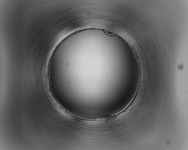 X0000103151200200808221323