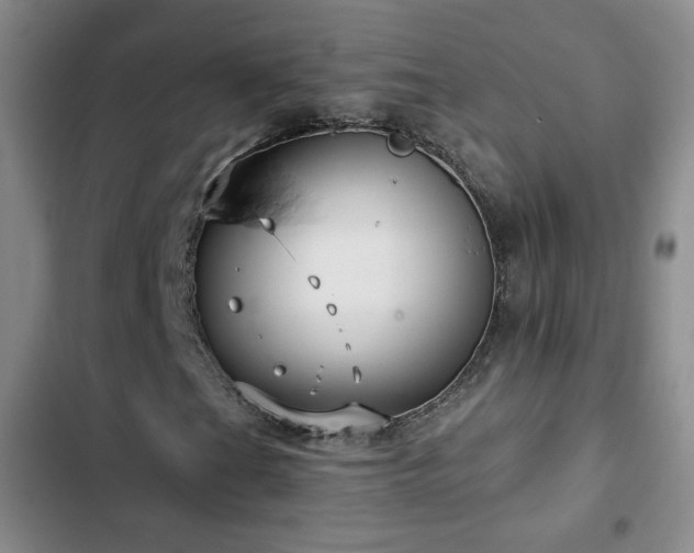 X0000103151201200808221322