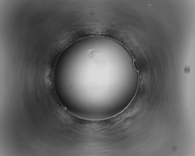 X0000103151202200808221322