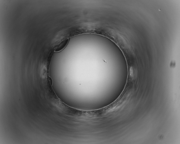 X0000103151203200808221322