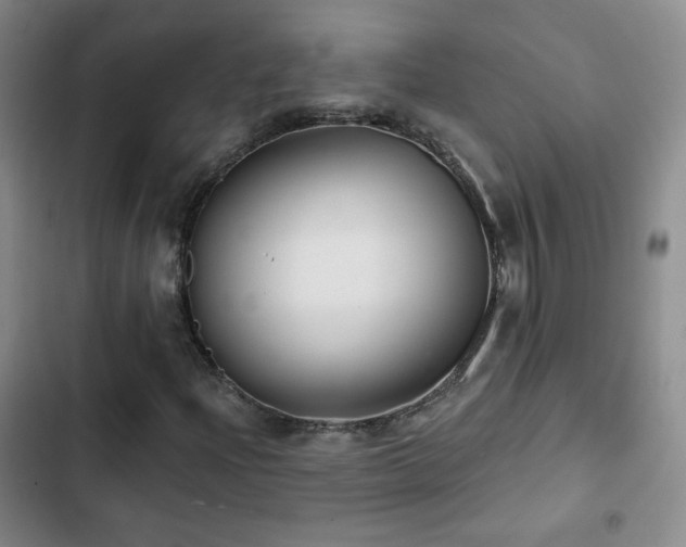 X0000103151204200808221322