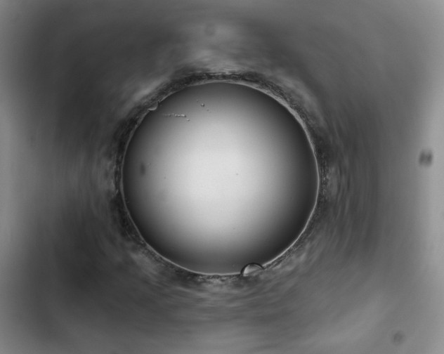 X0000103151205200808221322
