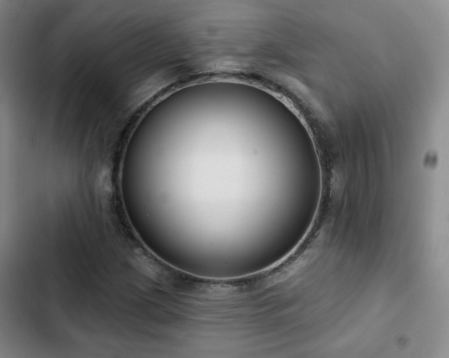 X0000103151209200808221322
