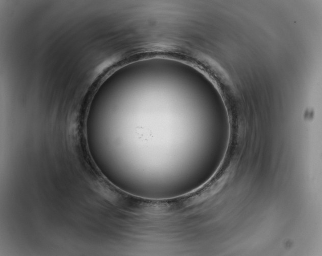 X0000103151210200808221322