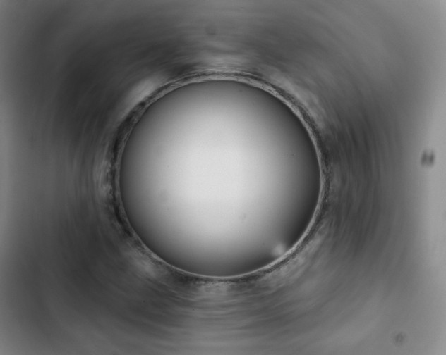 X0000103151211200808221322