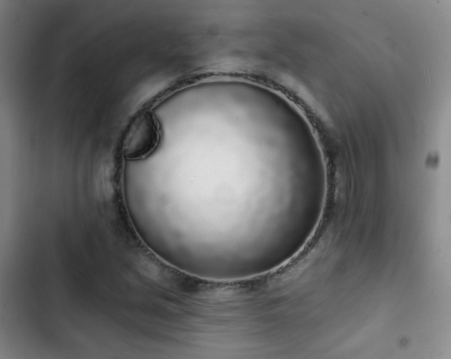 X0000103151213200808221322