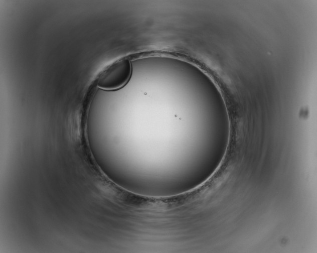 X0000103151214200808221322
