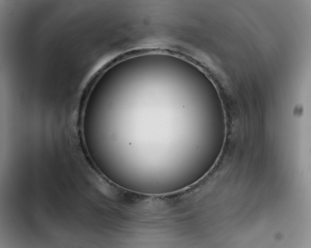 X0000103151216200808221322