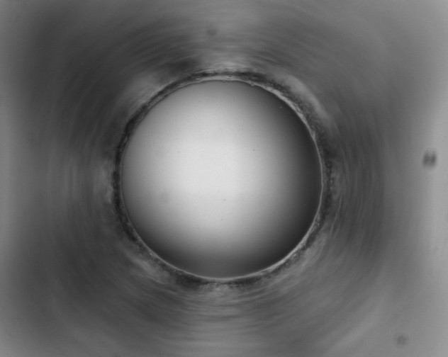 X0000103151217200808221322