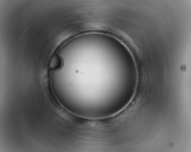 X0000103151218200808221322